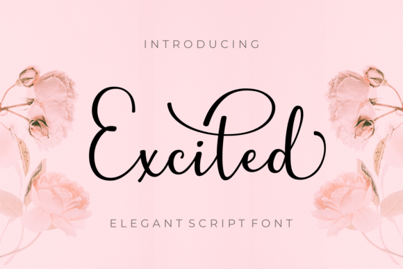 Excited: A Romantic Script Font for Makers and Creative Sellers