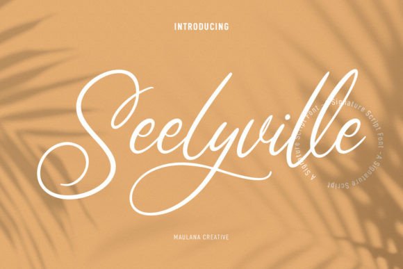 Seelyville: A Designer’s Take on Its Real-World Use